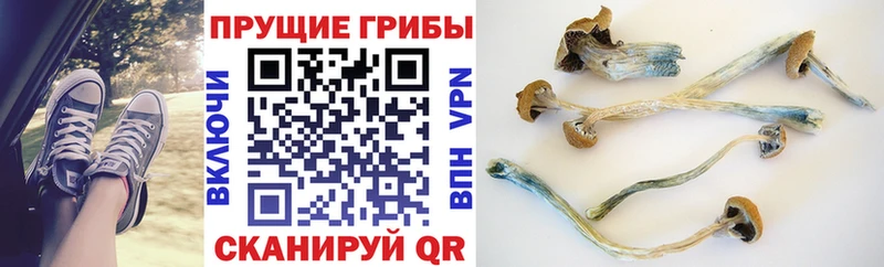 Купить  Похвистнево  Псилоцибиновые грибы MAGIC MUSHROOMS 